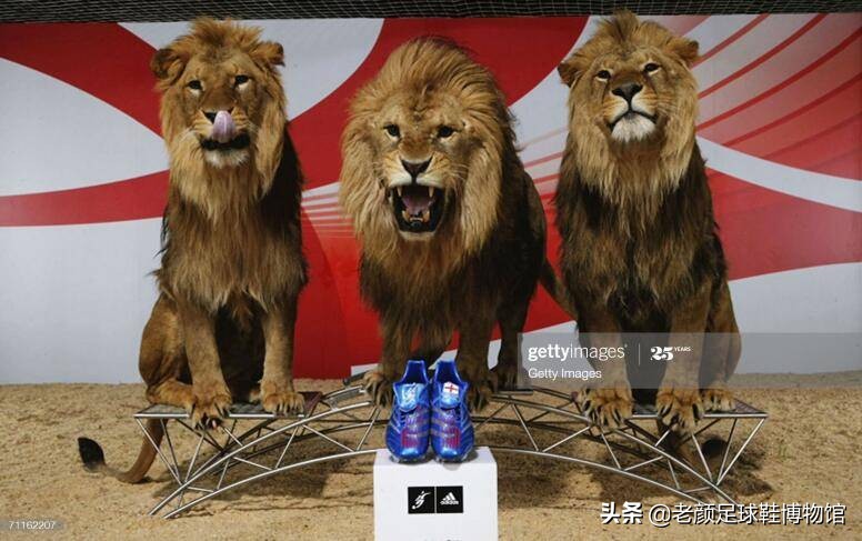 小贝当年多风光，三个儿子都穿德产定制鞋，球鞋广告动用百兽之王