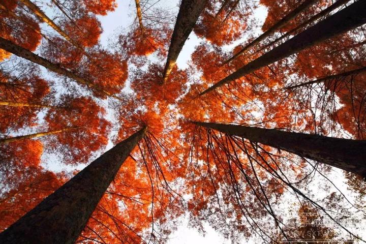 秋天的杭州自驾游,杭州秋冬自驾