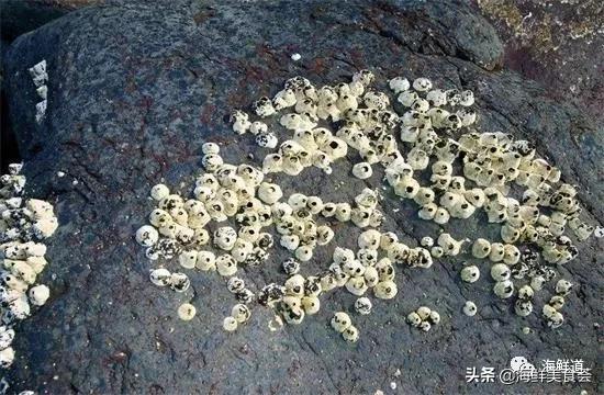 十种最美味海鲜,100种常见海鲜大全图