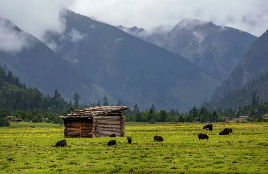巴松措最近期攻略,巴松措可以开进去吗
