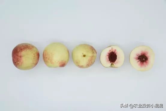 猕猴桃中国最好吃的品种,中国猕猴桃什么品种最好吃