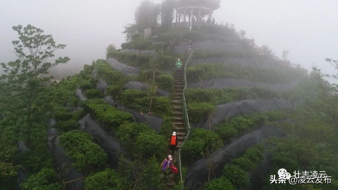 2021徒步中国·全国徒步大会广西百色（凌云站）活动圆满结束