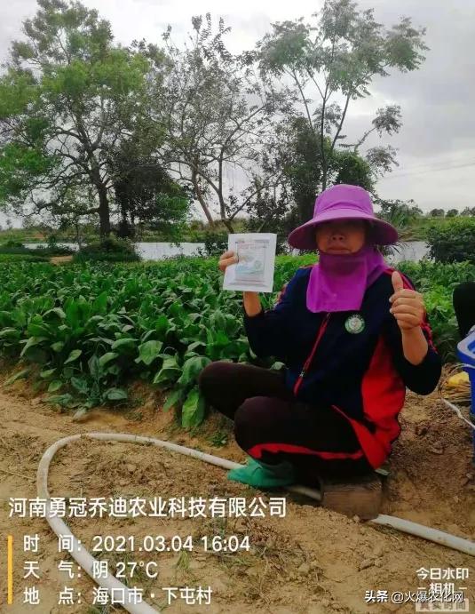 跳甲打甲,跳甲上午打还是晚上打好