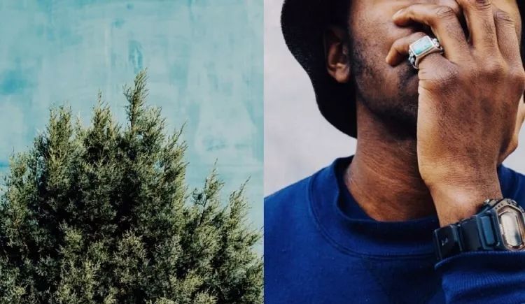 摄影小白适合拍什么,摄影小白拍人像用什么好