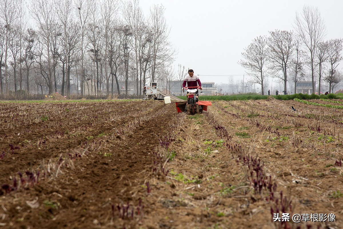 农村大叔擅长养马，靠头脑灵活补贴家用，挣钱方式多样