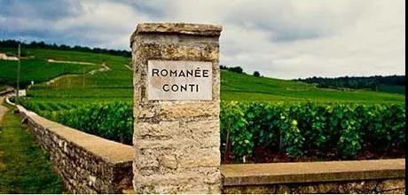 朱卫东葡萄酒教学视频,朱卫东葡萄酒的仪式感