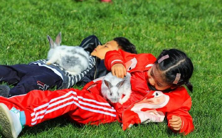 超长记录亲子牧场一日游,暑期草原亲子游攻略