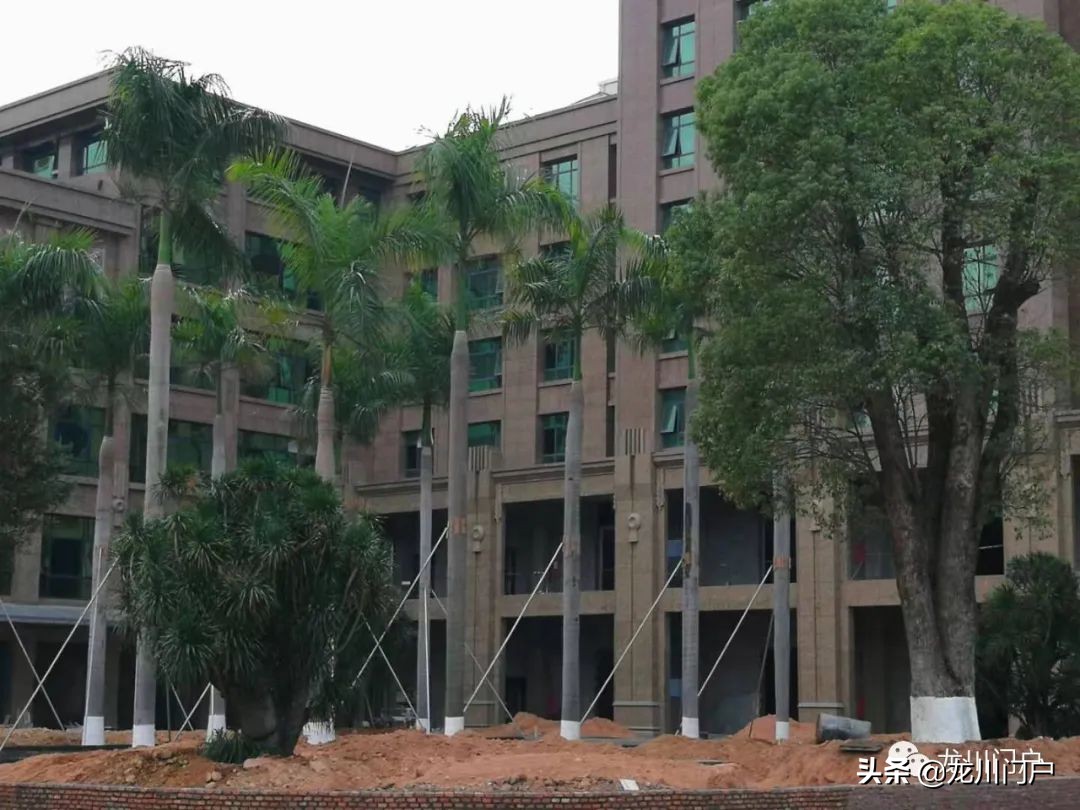 这样的龙川你会喜欢吗？你期待将来是什么样子？