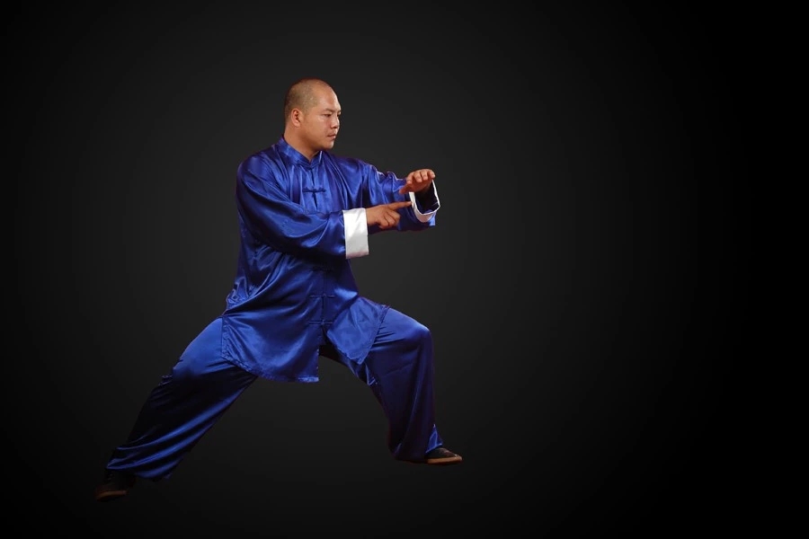 太极名家王战军生平,太极大师王战军