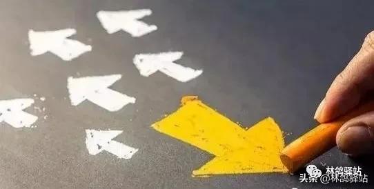 创业者生存指南丨第一次创业怎样才能提升成功率?