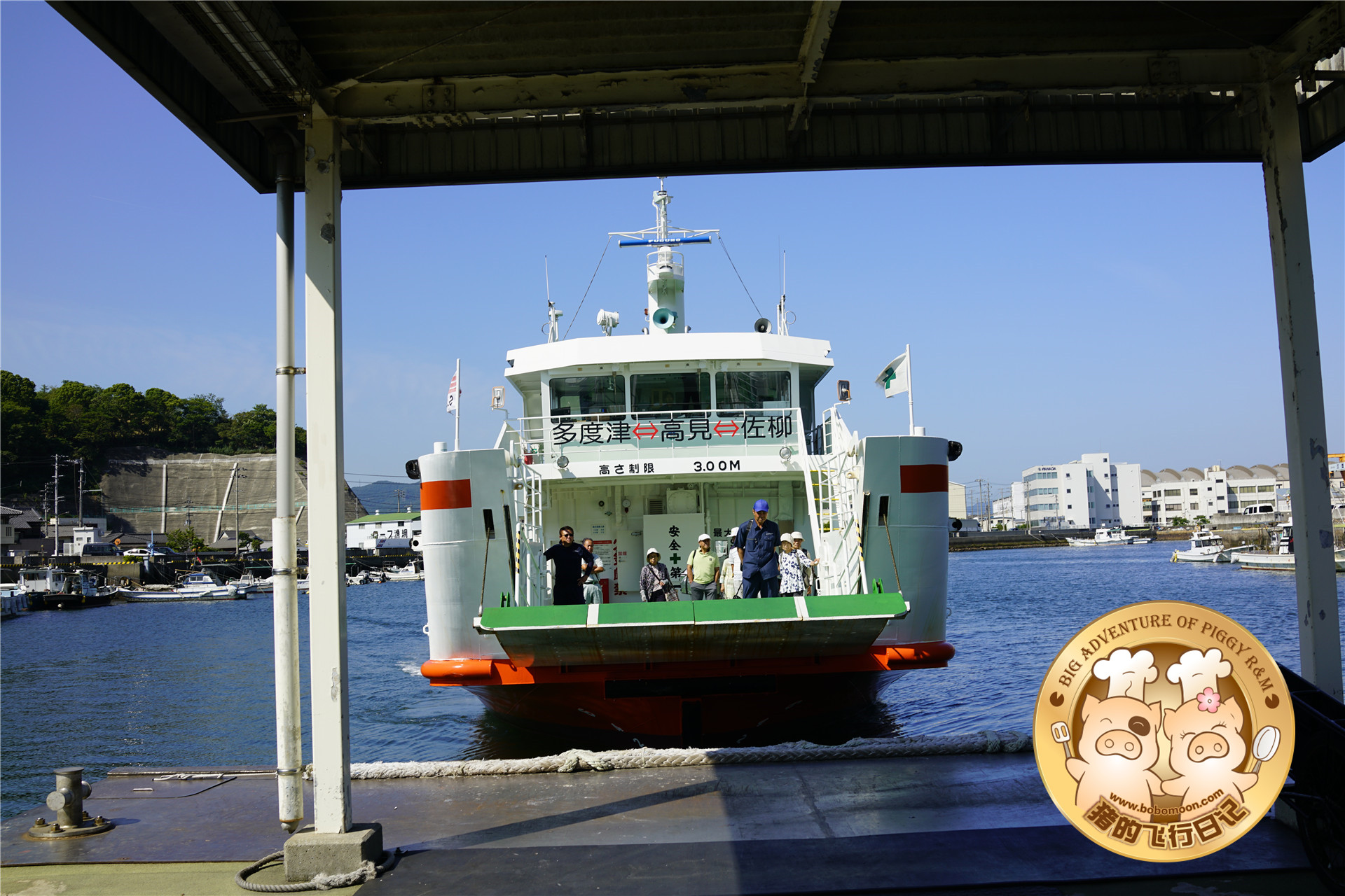 被铲屎官惊到的喵星人,让铲屎官瑟瑟发抖的喵星人