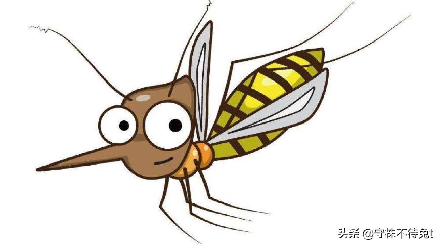 1000个冷知识大全,一张100元的钞票大概多重