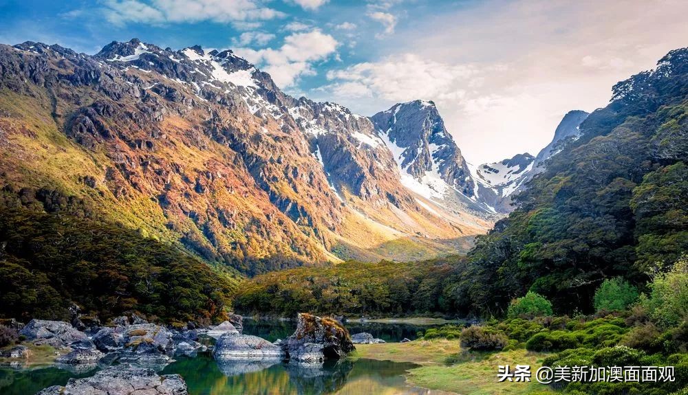 对于这一类中国人，中国驻新西兰大使馆发布了重要通知！