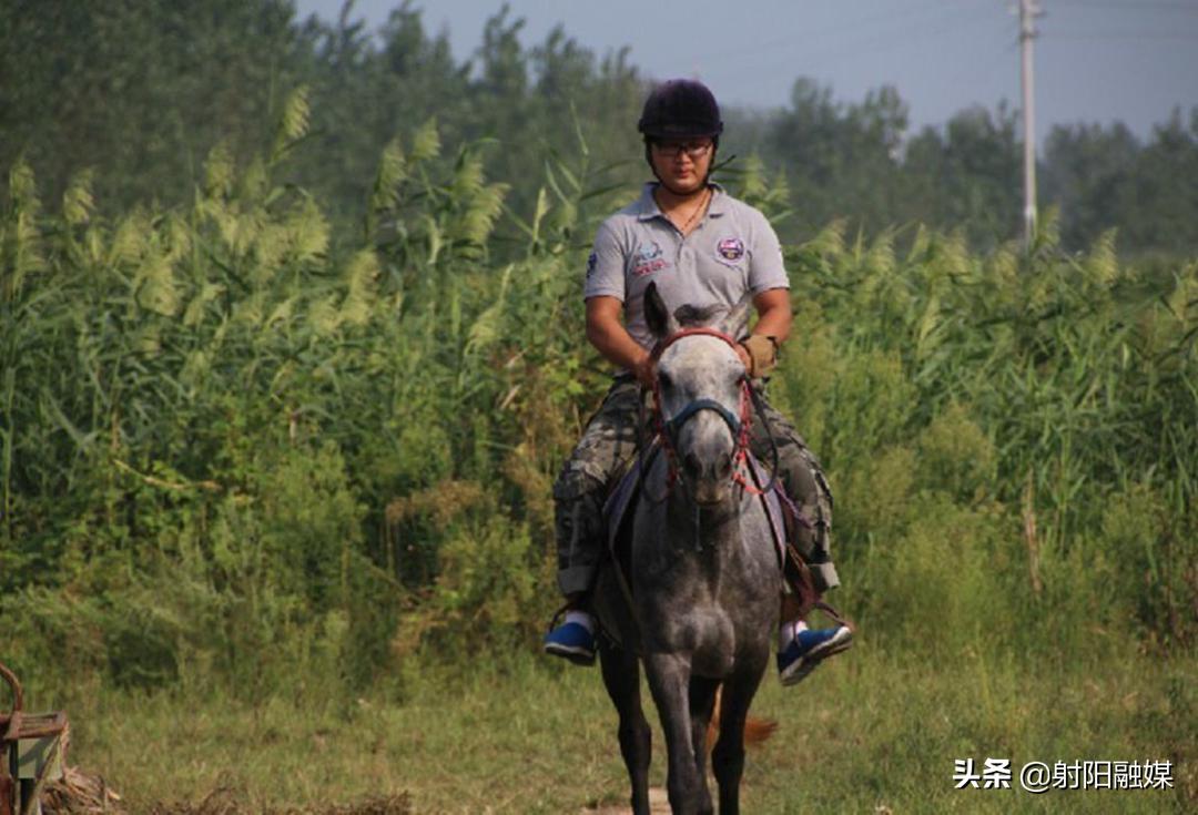 射阳县各村名单,射阳县各乡镇村名单