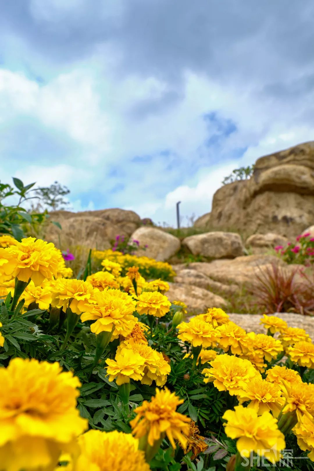 深圳龙华公园推荐,深圳龙华免费公园