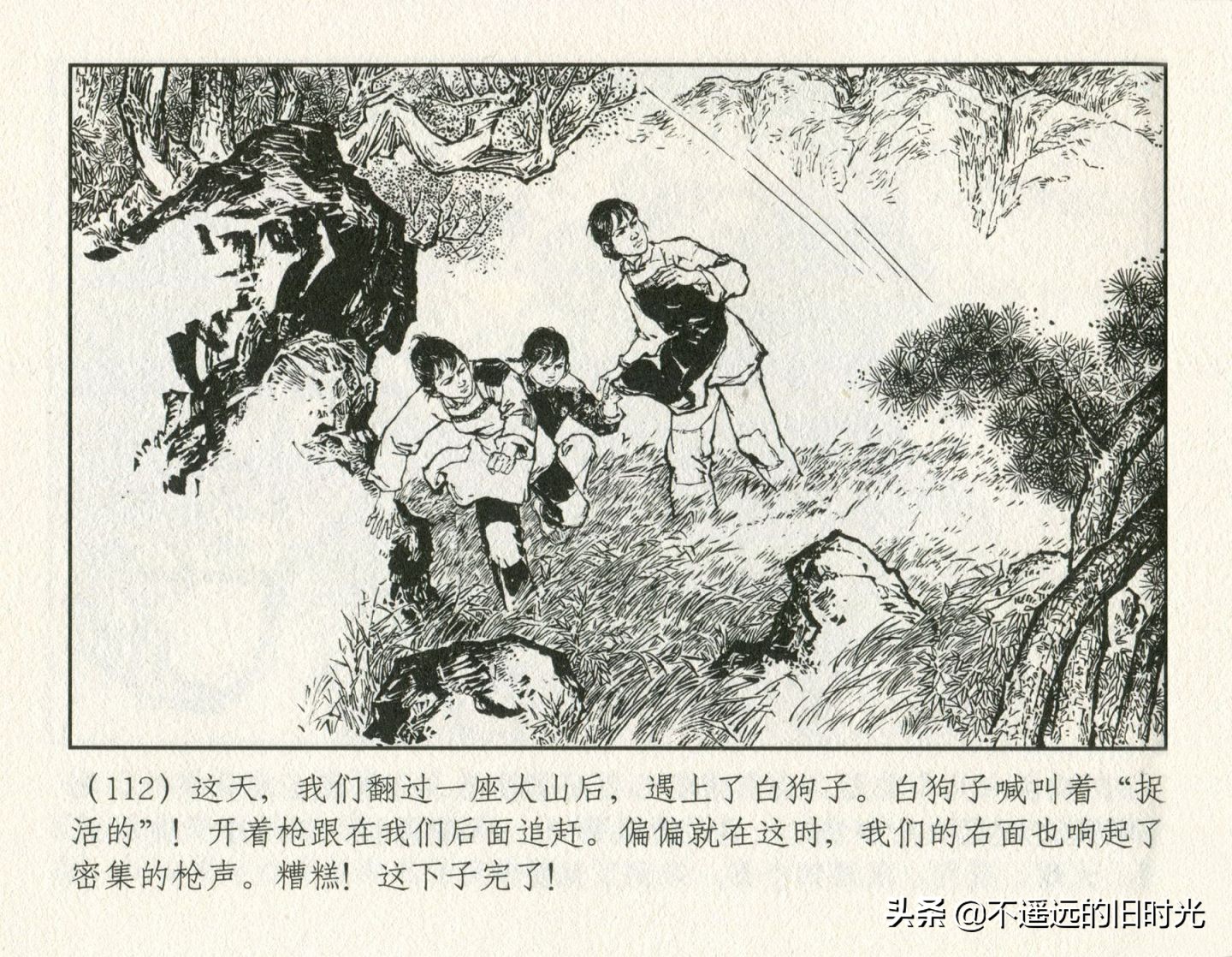 朝阳花-上海人民美术出版社1981初版2016再版陆成法陆小弟绘