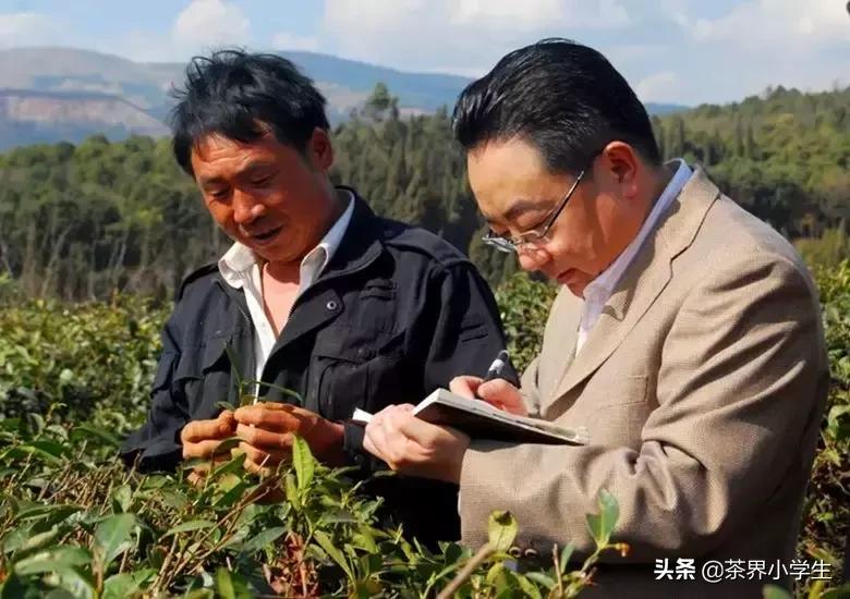 焦家良做龙润茶,云南龙润茶业焦家良