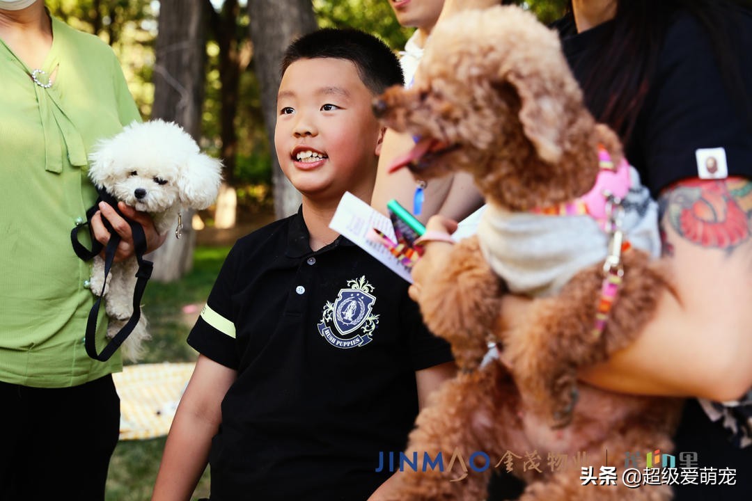 金茂广场萌宠生活节,金茂物业活动