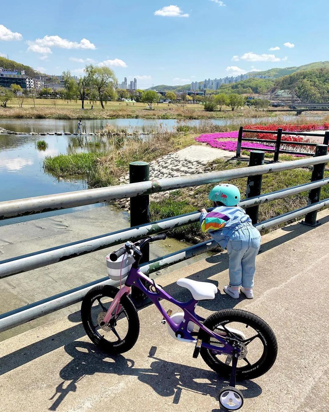 复古儿童自行车十佳评测,2021十大建议买的捷安特自行车