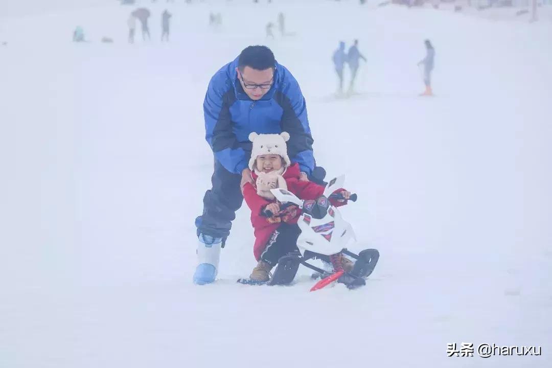 南方也能下雪吗,南方也能见到雪