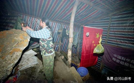 寻找野人的张金星现在如何,张金星神农架野人