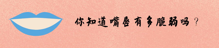 依泉润唇膏和小蜜蜂润唇膏,保湿唇膏小蜜蜂