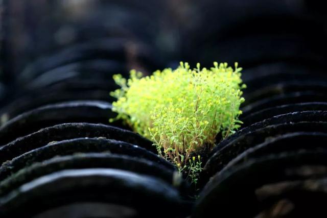 西安附近好玩放松的地方,五一放假西安周边好玩地方是哪里