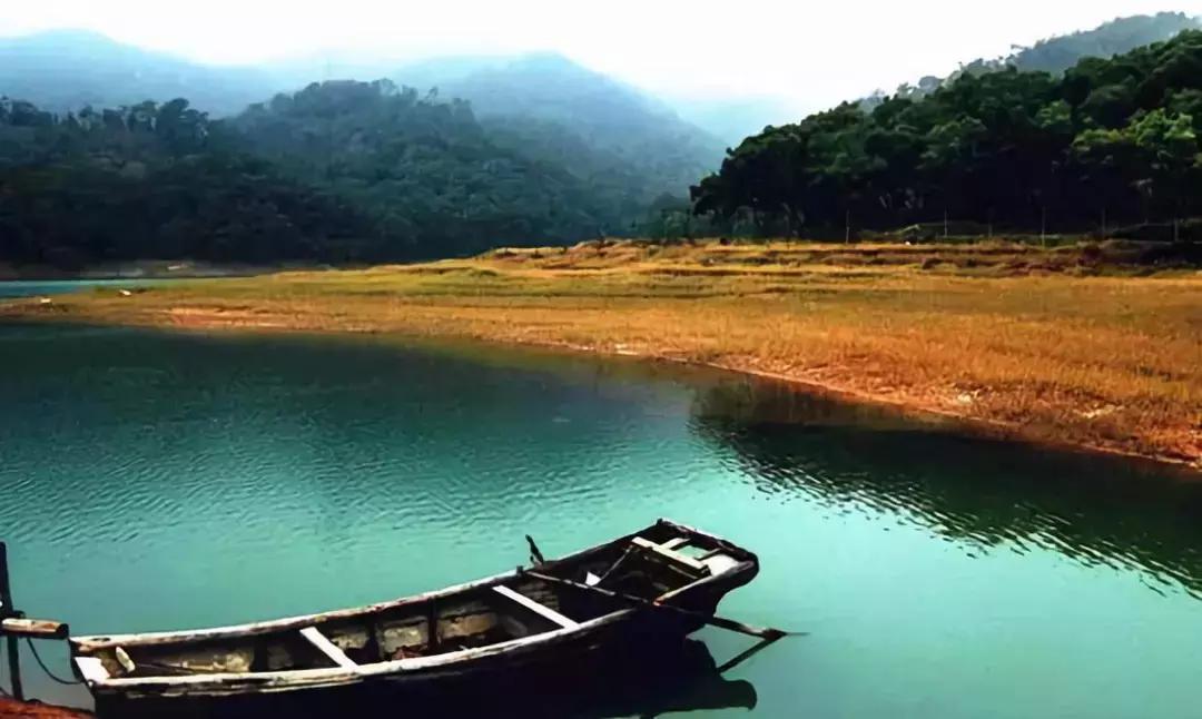 福建漳州厦门的发展,漳州与厦门经济差距