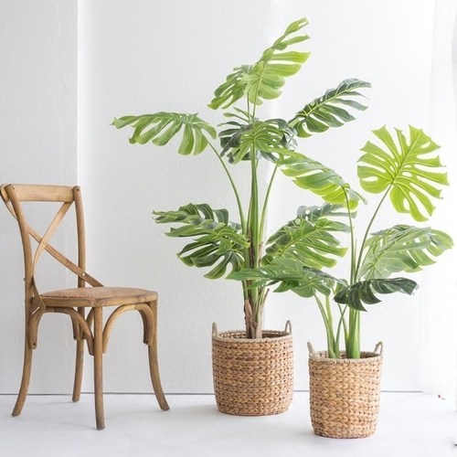 鲜花插花技巧专业术语,插花常见鲜花名称大全