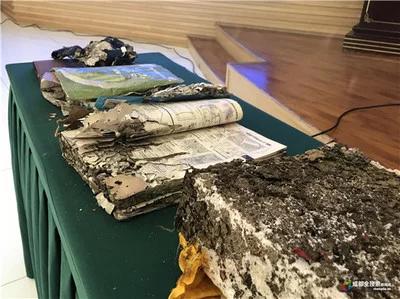 白蚁防治宝,防治白蚁药