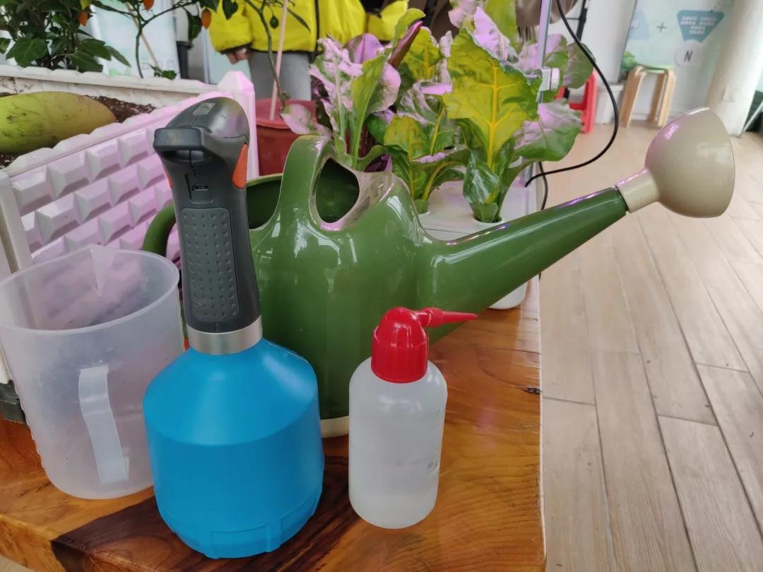 简易无土栽培蔬菜,自制无土栽培蔬菜神器