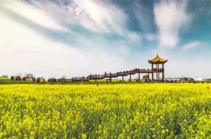 城南人小说,城南人