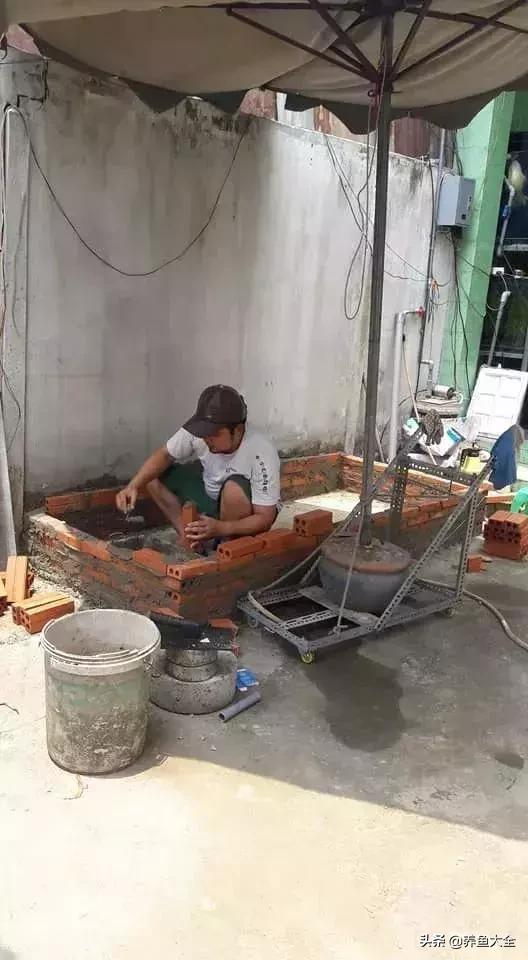 建一个锦鲤池要多少钱,园林锦鲤池建造