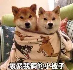 2020火爆全网的这些口红你有几支,口红鬼打墙