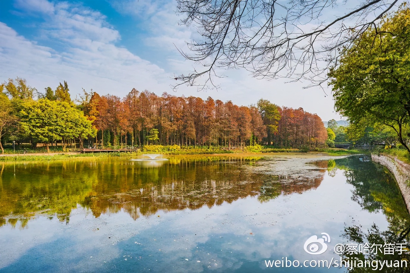 必打卡的宝藏公园,这些宝藏打卡地分分钟让人美到