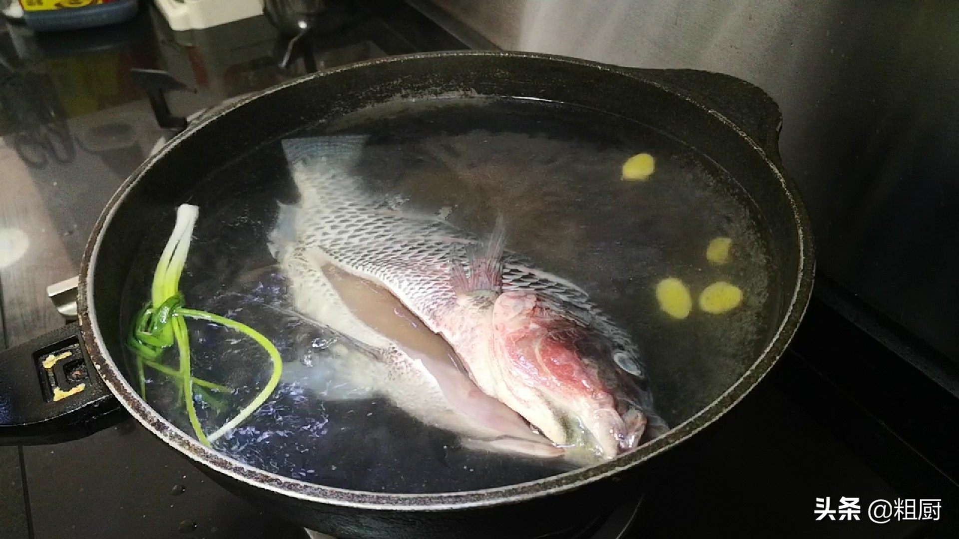 没有油的水煮鱼你吃过吗,不辣的水煮鱼好吃视频