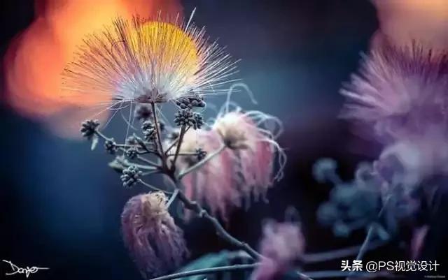 日常照片后期一定要用ps吗,摄影后期修图用ps什么版本