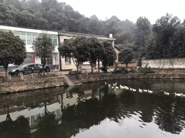 我的家乡被遗忘,我的家乡曾经也很美丽