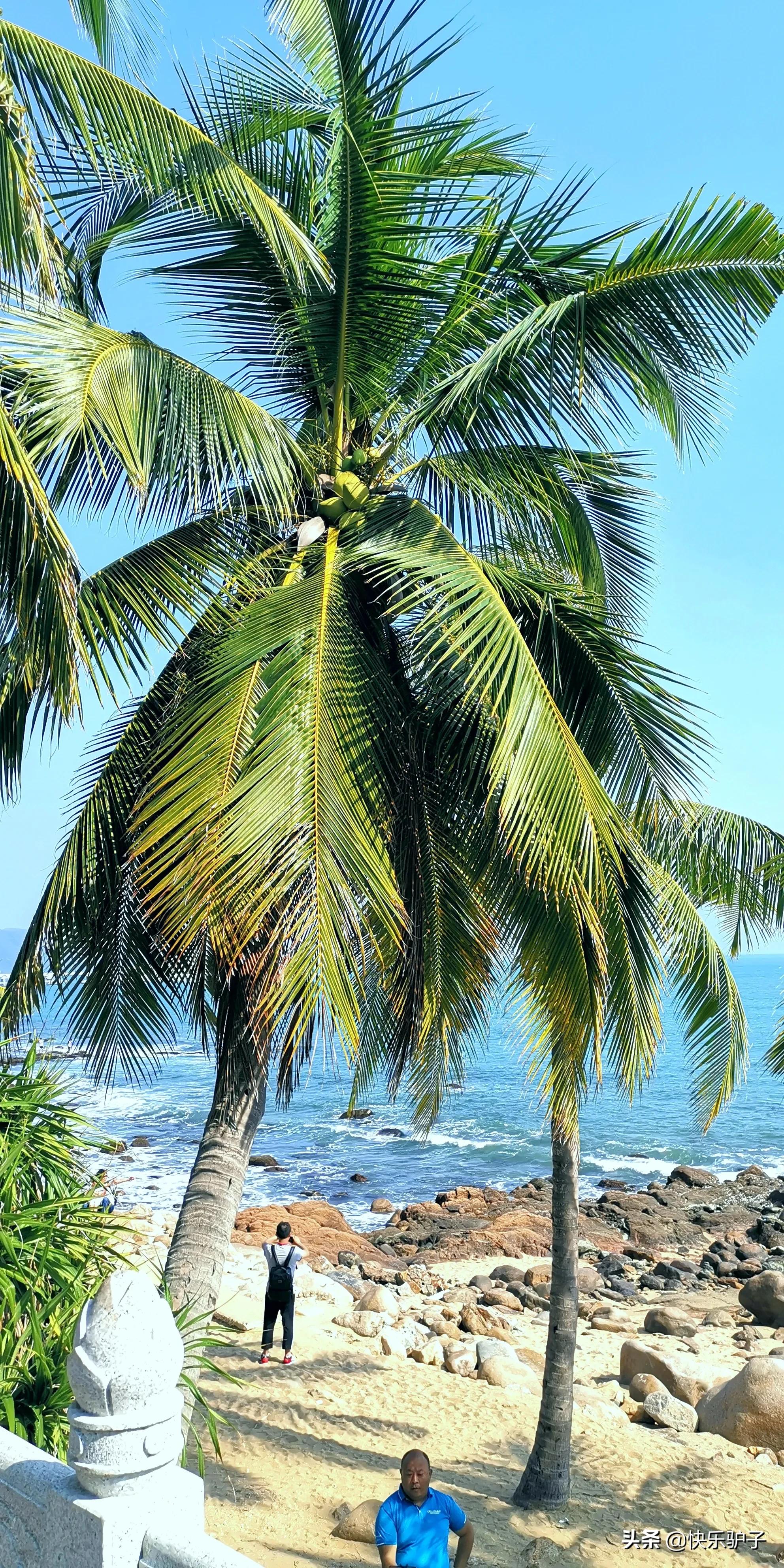 海南天涯海角石头碎了吗,哪个景区有天涯海角石头