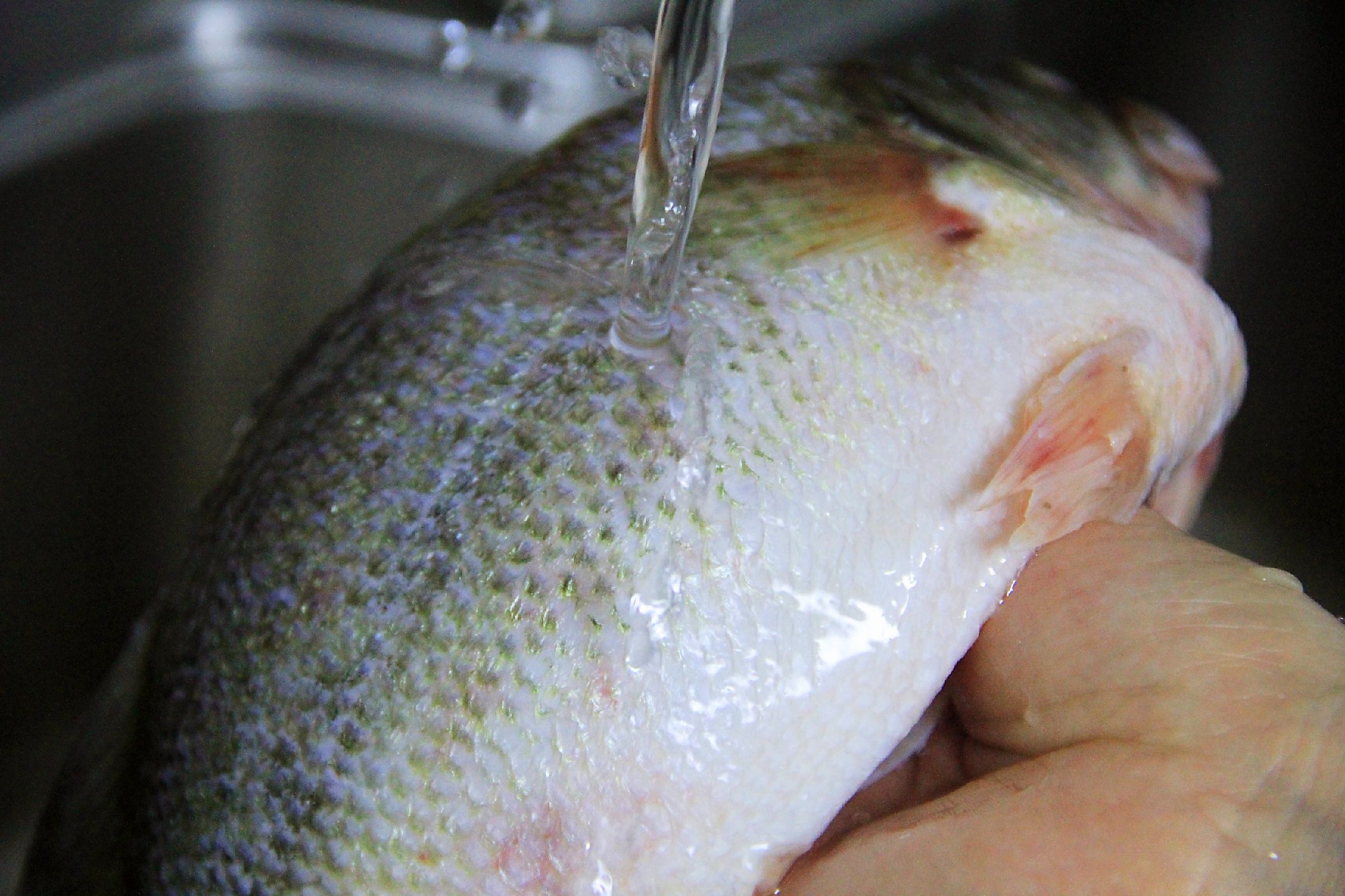 清蒸鱼好吃又不腥的秘诀,清蒸鱼鲜嫩又不腥的秘籍