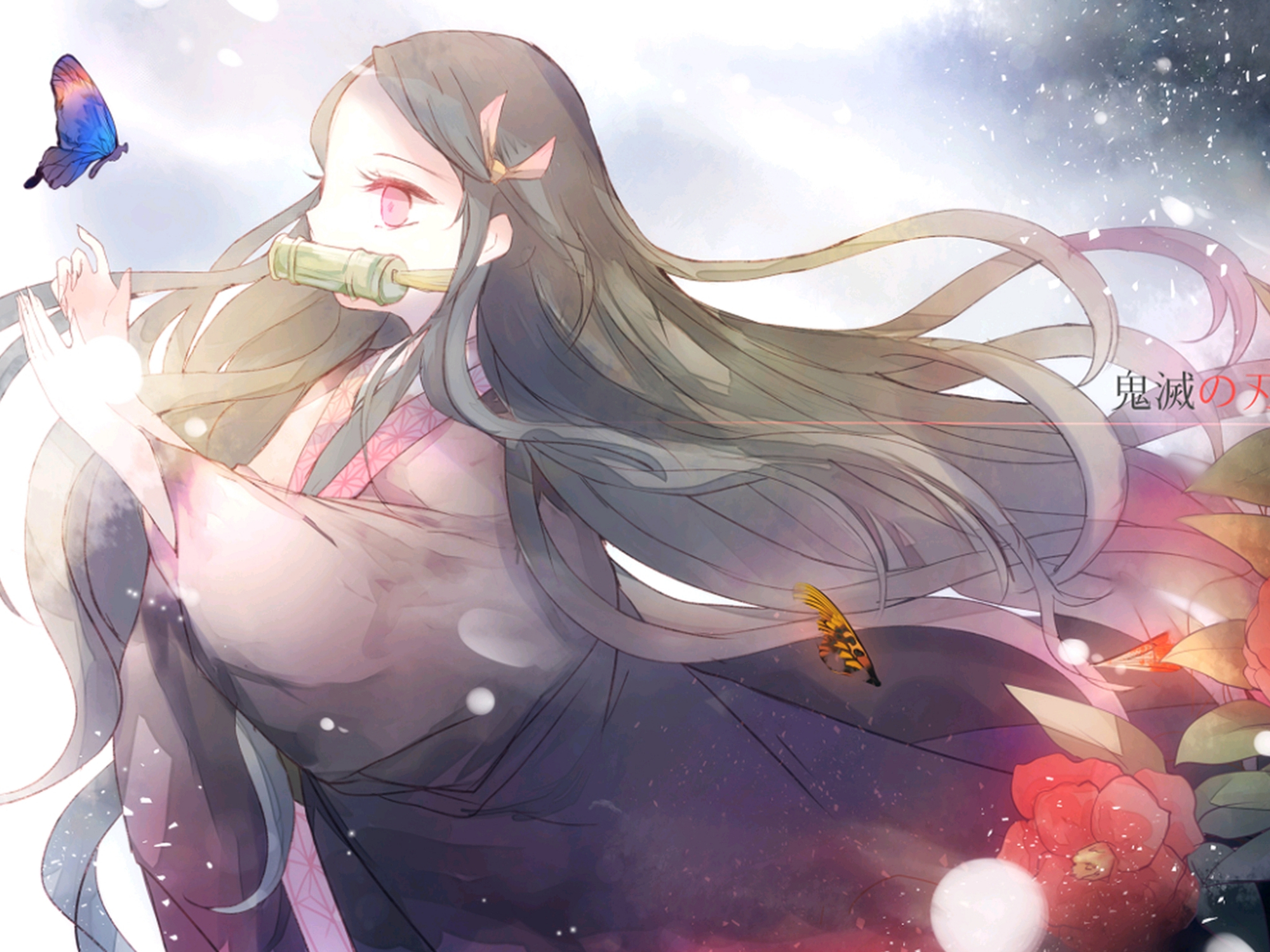 鬼灭之刃女主片段,鬼灭之刃所有女主视频