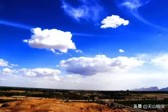 新疆的南疆图木舒克属于阿克苏吗,新疆图木舒克城市风景