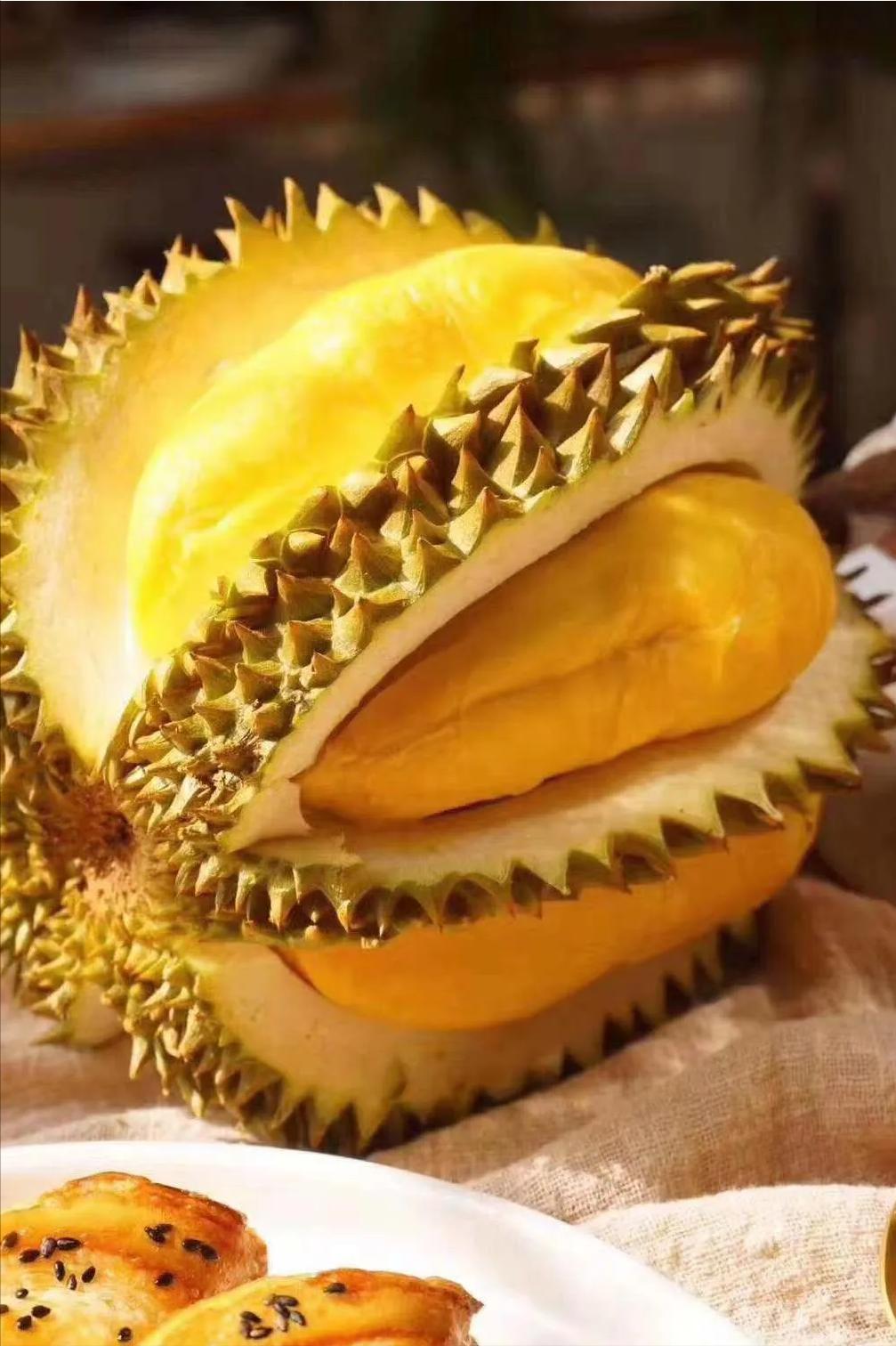 巴掌榴莲和甲仑榴莲哪个好,甲仑榴莲与金枕头榴莲口味