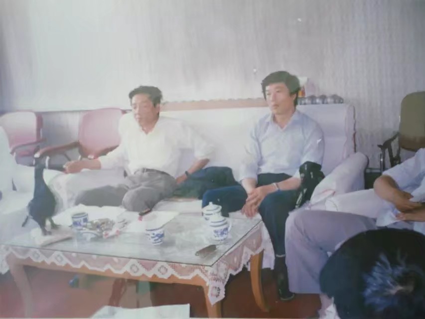 90年代伊春往事,伊春林区往事