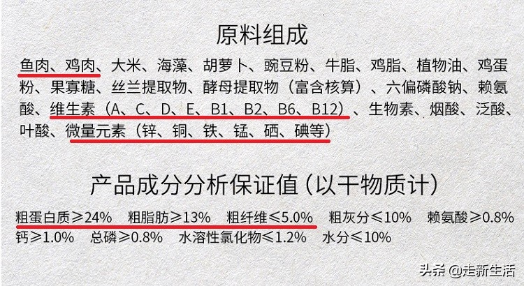 新手铲屎官要养狗要准备什么,新铲屎官养狗必备好物