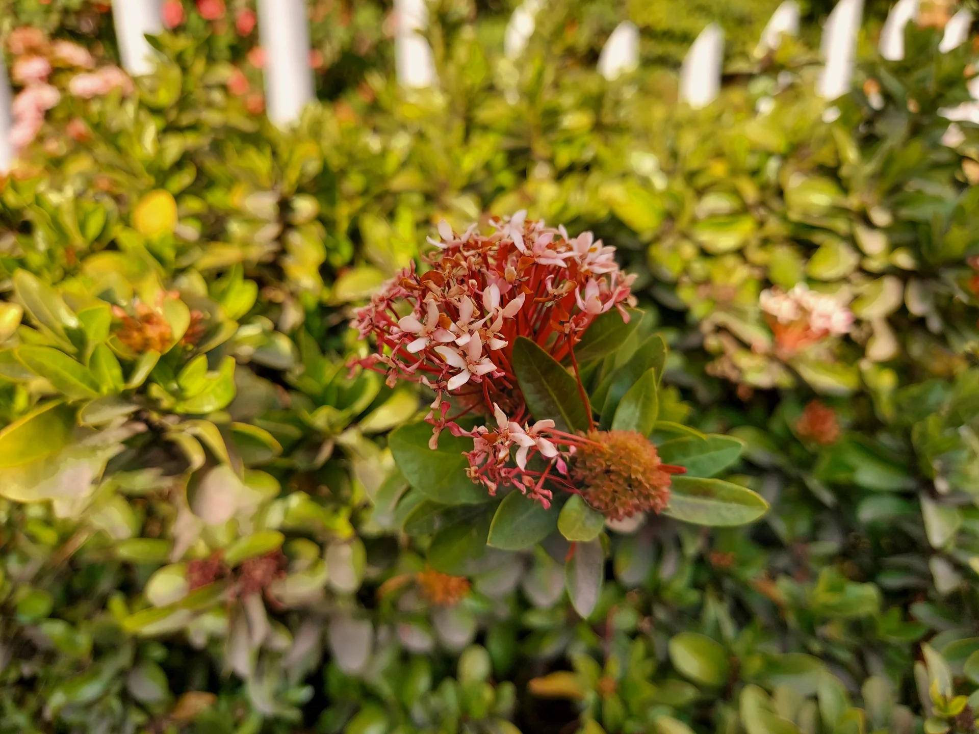 外媒三星galaxys10全系列上手体验,三星galaxys10sm-g9730评测