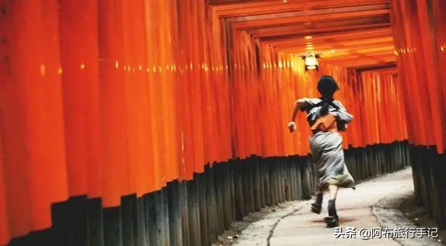 逛古寺逛神社感受日本京都的韵味,日本冷门的神社