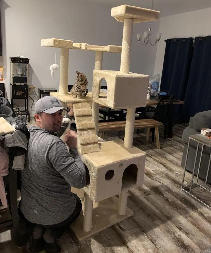 氛围感治愈温柔猫咪图片2张,带有人物与猫咪的温馨治愈图