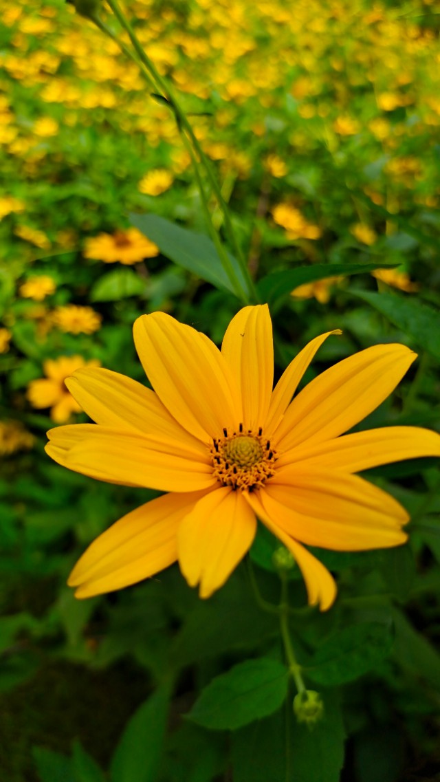 <html>
<head><title>502BadGateway</title></head>
<body>
<center><h1>502BadGateway</h1></center>
<hr><center>nginx</center>
</body>
</html>
<!--apaddingtodisableMSIEandChromefriendlyerrorpage-->
<!--apaddingtodisableMSIEandChromefriendlyerrorpage-->
<!--apaddingtodisableMSIEandChromefriendlyerrorpage-->
<!--apaddingtodisableMSIEandChromefriendlyerrorpage-->
<!--apaddingtodisableMSIEandChromefriendlyerrorpage-->
<!--apaddingtodisableMSIEandChromefriendlyerrorpage-->
