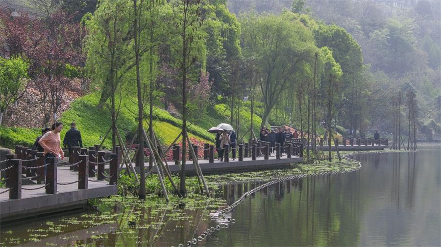 重庆2200亩湿地公园位置,重庆主城湿地